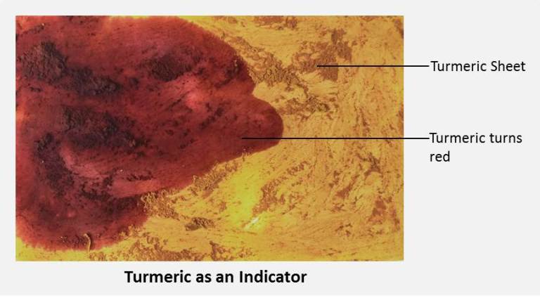 Turmeric works as an indicator to identify bases